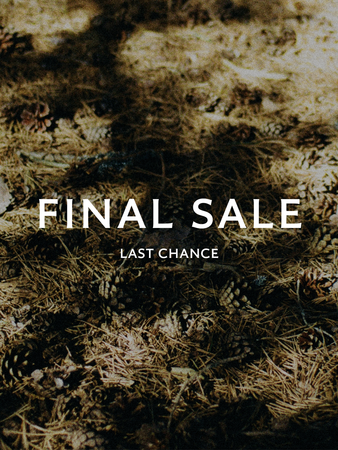 Winter Sale - up to 60% off